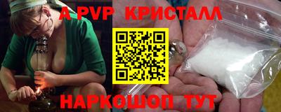 СК Новозыбков