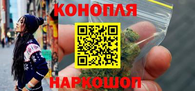 СК Новозыбков
