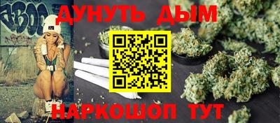 СК Новозыбков