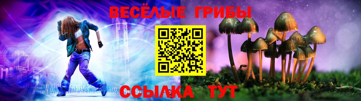 Галлюциногенные грибы Psilocybe  Вход с VPN  Галлюциногенные грибы Psilocybine cubensis  Трёхгорный 
